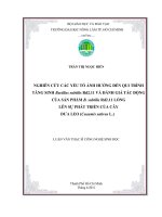 NGHIÊN CỨU CÁC YẾU TỐ ẢNH HƯỞNG ĐẾN QUI TRÌNH TĂNG SINH Bacillus subtilis Rd2.11 VÀ ĐÁNH GIÁ TÁC ĐỘNG CỦA SẢN PHẨM B. subtilis Rd2.11 LỎNG LÊN SỰ PHÁT TRIỂN CỦA CÂY DƯA LEO