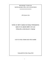 NUÔI CẤY MÔ VÀ KHẢO SÁT HOẠT TÍNH KHÁNG KHUẨN CỦA DỊCH CHIẾT CÂY GẤC