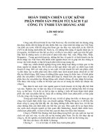 HOÀN THIỆN CHIẾN LƯỢC KÊNH PHÂN PHỐI SẢN PHẨM TÚI XÁCH TẠI CÔNG TY TNHH TÂN HOÀNG ANH