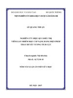 Nghiên cứu hiệu quả điều trị viêm gan nhiễm độc cấp nặng bằng biện pháp thay huyết tương tích cực 