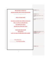 XÂY DỰNG CƠ SỞ DỮ LIỆU THÔNG TIN ĐẤT ĐAIPHỤC VỤ CÔNG TÁC BỒI THƯỜNGGIẢI PHÓNG MẶT BẰNGTRÊN ĐỊA BÀN TỈNH TIỀN GIANG