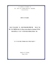 ỨNG DỤNG GIS ĐỂ DỰ BÁO NHANH SINH TRƯỞNG RỪNG TRỒNG THÔNG BA LÁ (Pinus kesiya Royle ex Gordon) VÙNG NGUYÊN LIỆU GIẤY TÂN MAI TỈNH LÂM ĐỒNG