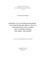 ẢNH HƯỞNG CỦA CÁC CHẤT ĐIỀU HÒA SINH TRƯỞNGLÊN SỰ SINH TRƯỞNG PHÁT TRIỂN VÀ NĂNG SUẤT,PHẨM CHẤT TRÁI CỦA DÂU TÂY TRỒNGTHUỶ CANH TRONG NHÀ MÀNGỞ ĐỨC TRỌNG – TỈNH LÂM ĐỒNG