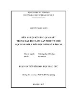 Rèn luyện kĩ năng quan sát trong dạy học làm văn miêu tả cho học sinh lớp 5 dân tộc Mông ở Lào Cai (LA tiến sĩ)