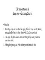 Các nhóm thuốc sử dụng phổ biến