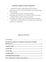 Individual assignment of project management 