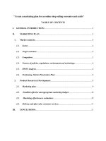 lập kế hoạch tiếp thị cho một cửa hàng trực tuyến bán đồ lưu  niệm và sản phẩm thủ công eng 