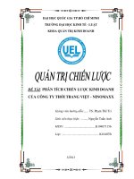 Đề Tài Phân Tích Chiến Lược Kinh Doanh Của Công Ty Thời Trang Việt - Ninomaxx