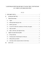 lập kế hoạch tiếp thị cho một cửa hàng trực tuyến bán đồ lưu  niệm và sản phẩm thủ công 