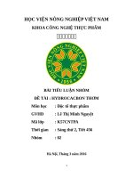 BÀI TIỂU LUẬN ĐỘC TỐ HYDROCACBON THƠM