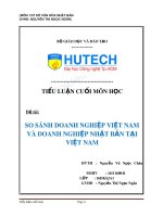 So sánh doanh nghiệp việt nam và doanh nghiệp nhật bản tại việt nam (tt) 