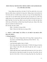 Phân tích sự thành công trong chiến lược kinh doanh của tôn hoa sen HSG 