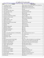 TU DIEN TIENG ANH CHUYEN NGANH O TO