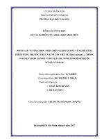 Phân lập, tuyển chọn, nhận diện vi khuẩn đất vùng rễ kích thích tăng trưởng thực vật ở cây tiêu sẻ (piper nigrum l ) trồng ở huyện chơn thành và huyện lộc ninh tỉnh bình phước 