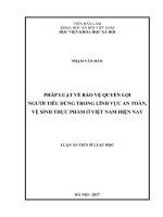 Pháp luật về bảo vệ quyền lợi người tiêu dùng trong lĩnh vực an toàn, vệ sinh thực phẩm ở Việt Nam hiện nay (LA tiến sĩ)