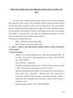 Phân tích sự thành công trong chiến lược kinh doanh của tôn hoa sen HSG eng 