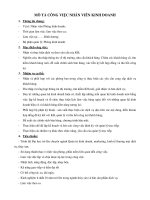 mo ta công việc NVKD bd