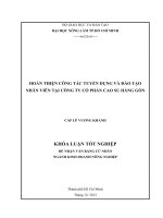 HOÀN THIỆN CÔNG TÁC TUYỂN DỤNG VÀ ĐÀO TẠO NHÂN VIÊN TẠI CÔNG TY CỔ PHẦN CAO SU HÀNG GÒN