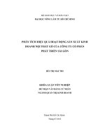 PHÂN TÍCH HIỆU QUẢ HOẠT ĐỘNG SẢN XUẤT KINH DOANH NỘI THẤT GỖ CỦA CÔNG TY CỔ PHẦN PHÁT TRIỂN SÀI GÒN