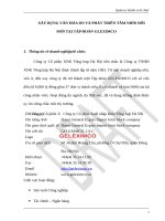 Xây dựng văn hóa DN và phát triển tầm nhìn đổi mới tại tập đoàn GLEXIMCO 