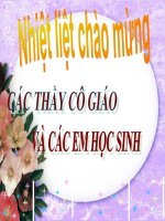 Lịch sử 7 bài 27 Chế độ phong kiến nhà Nguyễn