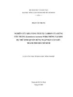NGHIÊN CỨU KHẢ NĂNG TÍCH TỤ CARBON CỦA RỪNG CÓC TRẮNG (Lumnitzera racemosa Willd) TRỒNG TẠI KHU DỰ TRỮ SINH QUYỂN RỪNG NGẬP MẶN CẦN GIỜ  THÀNH PHỐ HỒ CHÍ MINH