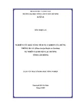 NGHIÊN CỨU KHẢ NĂNG TÍCH TỤ CARBON CỦA RỪNG THÔNG BA LÁ (Pinus kesiya Royle ex Gordon) TỰ NHIÊN TẠI HUYỆN LẠC DƯƠNG TỈNH LÂM ĐỒNG