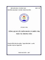 Tổng quan về chuẩn đoán và điều trị máu tụ trong não do tai biến mạch máu não và chấn thương