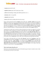 mau bai viet tieng anh ve phim tom va jerry