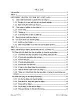 Báo cáo hoạt động kinh doanh công ty TNHH Ticy Việt Nam