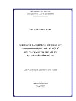 NGHIÊN CỨU ĐẶC ĐIỂM CỦA SÁU GIỐNG MÍT (Artocarpus heterophyllus Lamk.) VÀ MỘT SỐ BIỆN PHÁP CANH TÁC CHO MÍT TN1 TẠI PHÚ GIÁO –BÌNH DƯƠNG