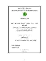 BIẾN NẠP GEN CHUYỂN HÓA ACID BÉO OMEGA 3 (GEN GmFAD3) VÀO VI KHUẨN AGROBACTERIUM TUMEFACIENS VÀ BƯỚC ĐẦU CHUYỂN GEN VÀO CÂY MÈ (SESAMUM INDICUM L.)