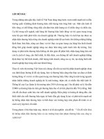 Vấn đề triển khai hệ thống nhận diện thương hiệu và các trường hợp xâm phạm thương hiệu của công ty ADIDAS