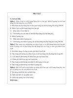 Thực trạng việc ảnh hưởng của nhân tố giá cả và chất lượng hàng hóa, bao gói, nhân tố quảng cáo tới hoạt động tiêu thụ hàng hóa của công ty nước giải khát Coca Cola