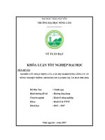 Nghiên cứu hoạt động của cán bộ Marketing công ty CP nông nghiệp thông minh FECON tại khu dự án Đan Phượng. (Khóa luận tốt nghiệp)