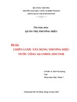 CHIẾN LƯỢC XÂY DỰNG THƯƠNG HIỆU NƯỚC UỐNG ALCOHOL DOCTOR