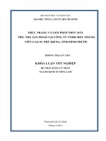 THỰC TRẠNG VÀ GIẢI PHÁP THÚC ĐẨY TIÊU THỤ SẢN PHẨM TẠI CÔNG TY TNHH MỘT THÀNH VIÊN CAO SU PHÚ RIỀNG, TỈNH BÌNH PHƯỚC