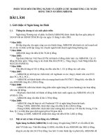 Phân tích môi trường ngành và chiến lược marketing cảu ngân hàng TMCP an bình ABBANK