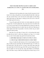 Phân tích môi trường ngành và chiến lược marketing của công ty cổ phần hóa dầu petrolimex PLC