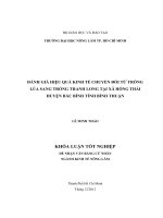 ĐÁNH GIÁ HIỆU QUẢ KINH TẾ CHUYỂN ĐỔI TỪ TRỒNG LÚA SANG TRỒNG THANH LONG TẠI XÃ HỒNG THÁI HUYỆN BẮC BÌNH TỈNH BÌNH THUẬN