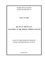 Quản lý nhân lực tại công ty hệ thống thông tin FPT 
