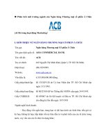 Phân tích môi trường ngành của ngân hàng thương mại cổ phần á châu (ACB) trong hoạt động marketing