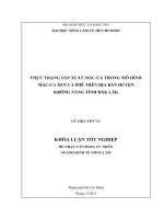 THỰC TRẠNG SẢN XUẤT MẮCCA TRONG MÔ HÌNH MẮCCA XEN CÀ PHÊ TRÊN ĐỊA BÀN HUYỆN KRÔNG NĂNG TỈNH ĐĂK LĂK