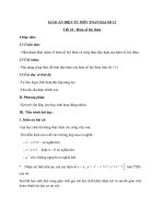 Giáo án Giải tích 12 chương 2 bài 2: Hàm số lũy thừa