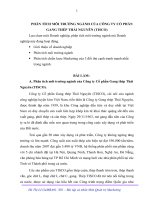 PHÂN TÍCH môi TRƯỜNG NGÀNH của CÔNG TY cổ PHẦN GANG THÉP THÁI NGUYÊN (TISCO)