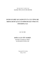 Đ NH GI HI U QUẢ INH T CỦ C C NÔNG H TRỒNG ƢỞI TẠI TÂN NH HU N V NH C U T NH ĐỒNG N I