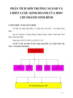 Phân tích môi trường ngành và chiến lược kinh doanh của BIDV chi nhánh ninh bình