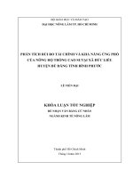 PHÂN TÍCH RỦI RO TÀI CHÍNH VÀ KHẢ NĂNG ỨNG PHÓ CỦA NÔNG HỘ TRỒNG CAO SUTẠI XÃ ĐỨC LIỄU HUYỆN BÙ ĐĂNG TỈNH BÌNH PHƯỚC