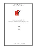 Hồ sơ diễn án dân sự 11