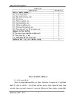 SKKN MỘT SỐ KINH NGHIỆM GIẢNG DẠY KĨ THUẬT  NHẢY XA KIỂU NGỒI LỚP 9